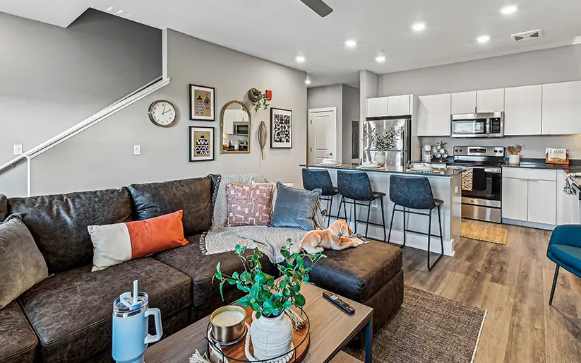 furnished living space